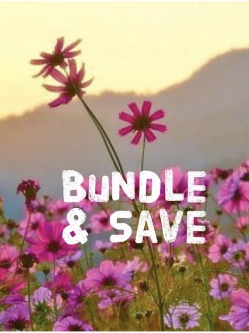 Save on shipping